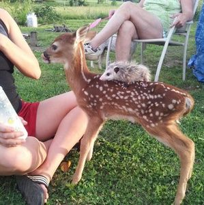 Meet your Posher, Amy